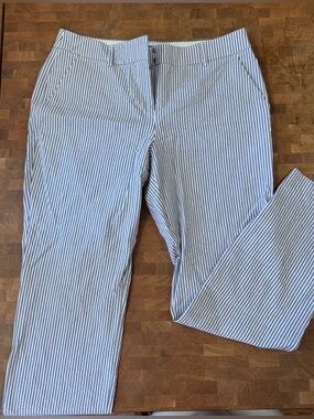 Express Women’s Columnist Ankle Mid Rise Pants